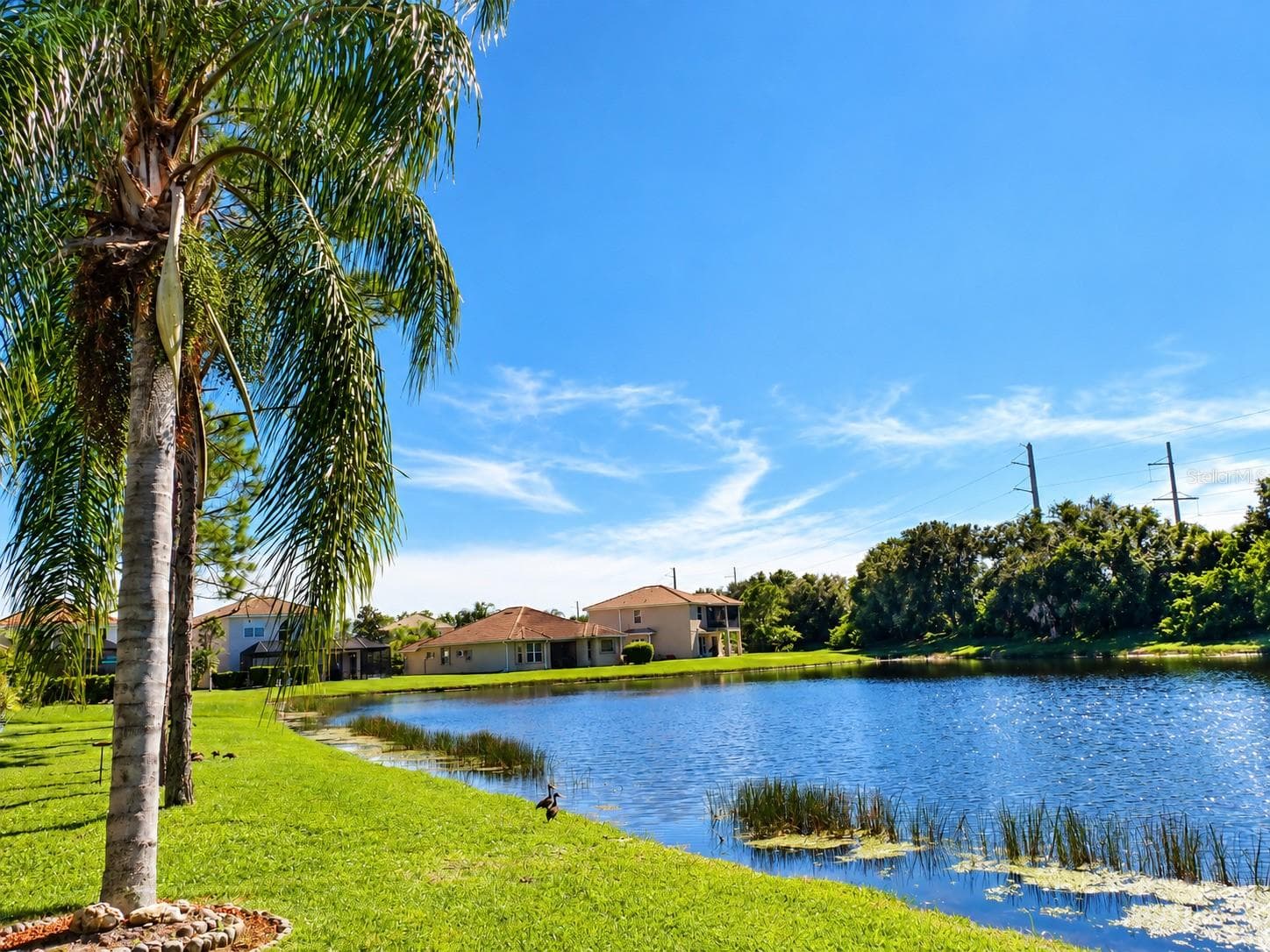 Single Family Residence at 11500 DANCING RIVER DR, VENICE, photo 10 of 14