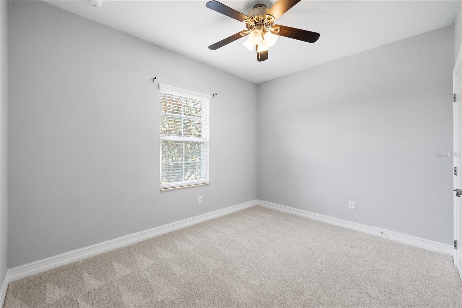 Bedroom 3 - 5914 SHELL RIDGE DR, LITHIA