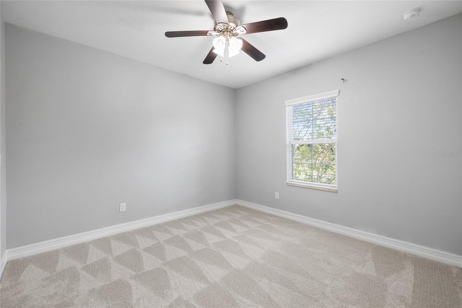 Bedroom 4 - 5914 SHELL RIDGE DR, LITHIA