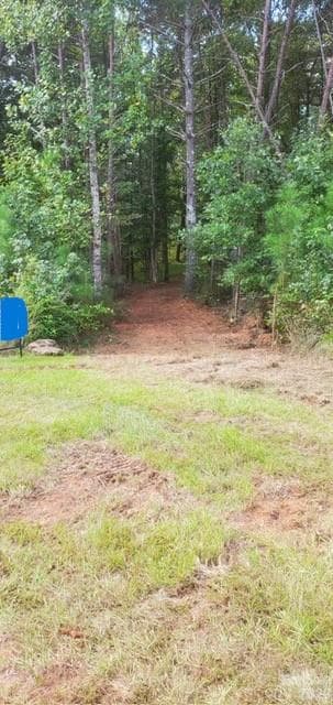 A wide, well-cleared walking path makes it simple to explore this expansive property. - 000 Scenic Lane, Granite Falls
