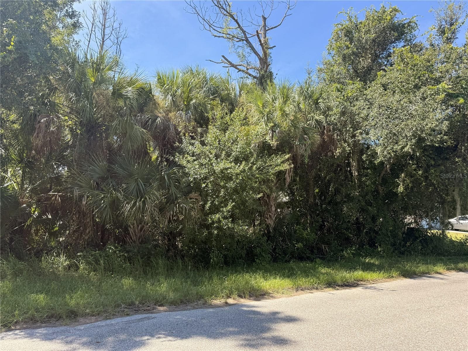 Land at LOT 15 WALMSLEY AVE AVE, NORTH PORT, photo 2 of 2