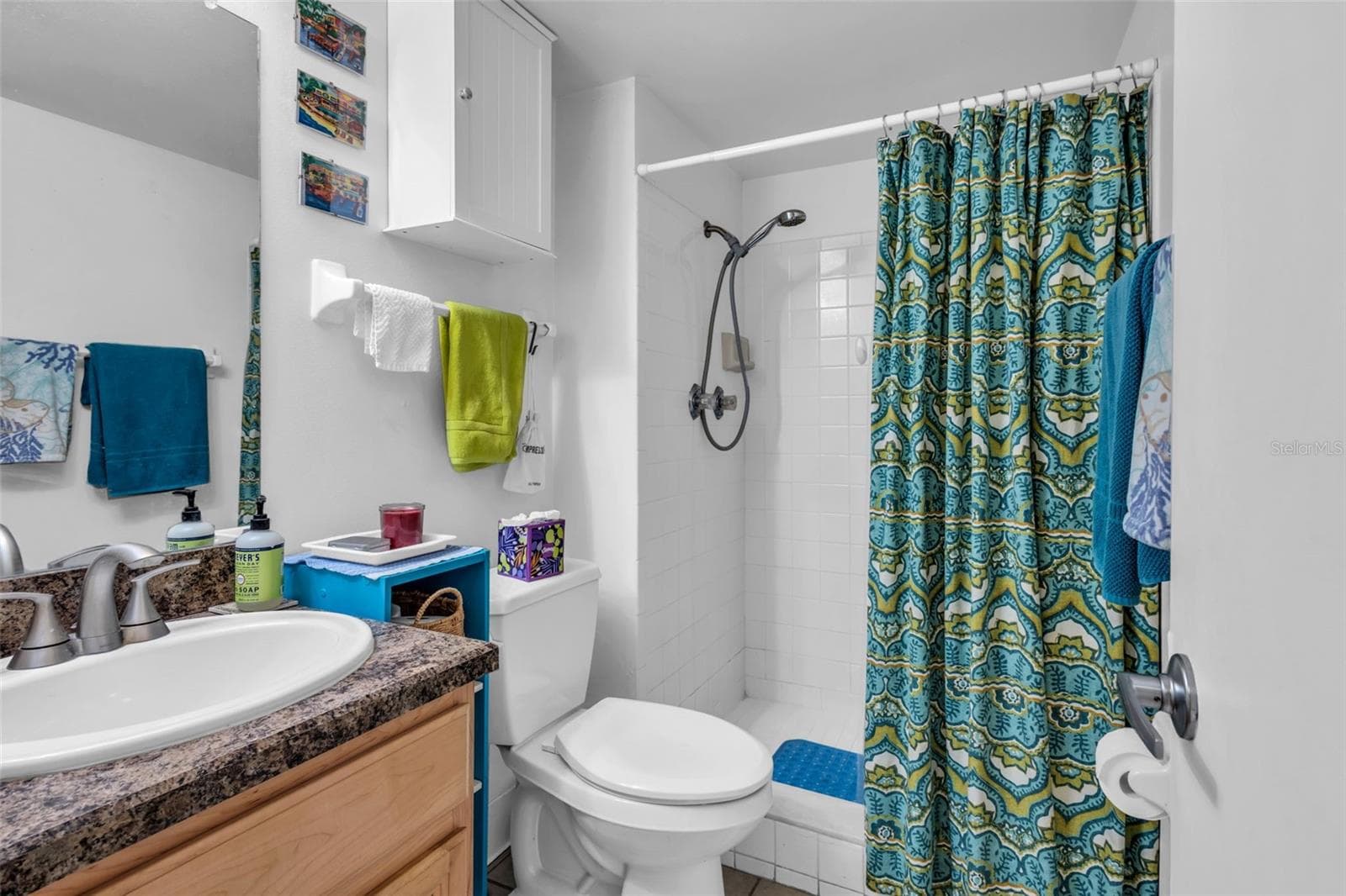 Guest Bathroom - 3811 N OAK DR #E51, TAMPA