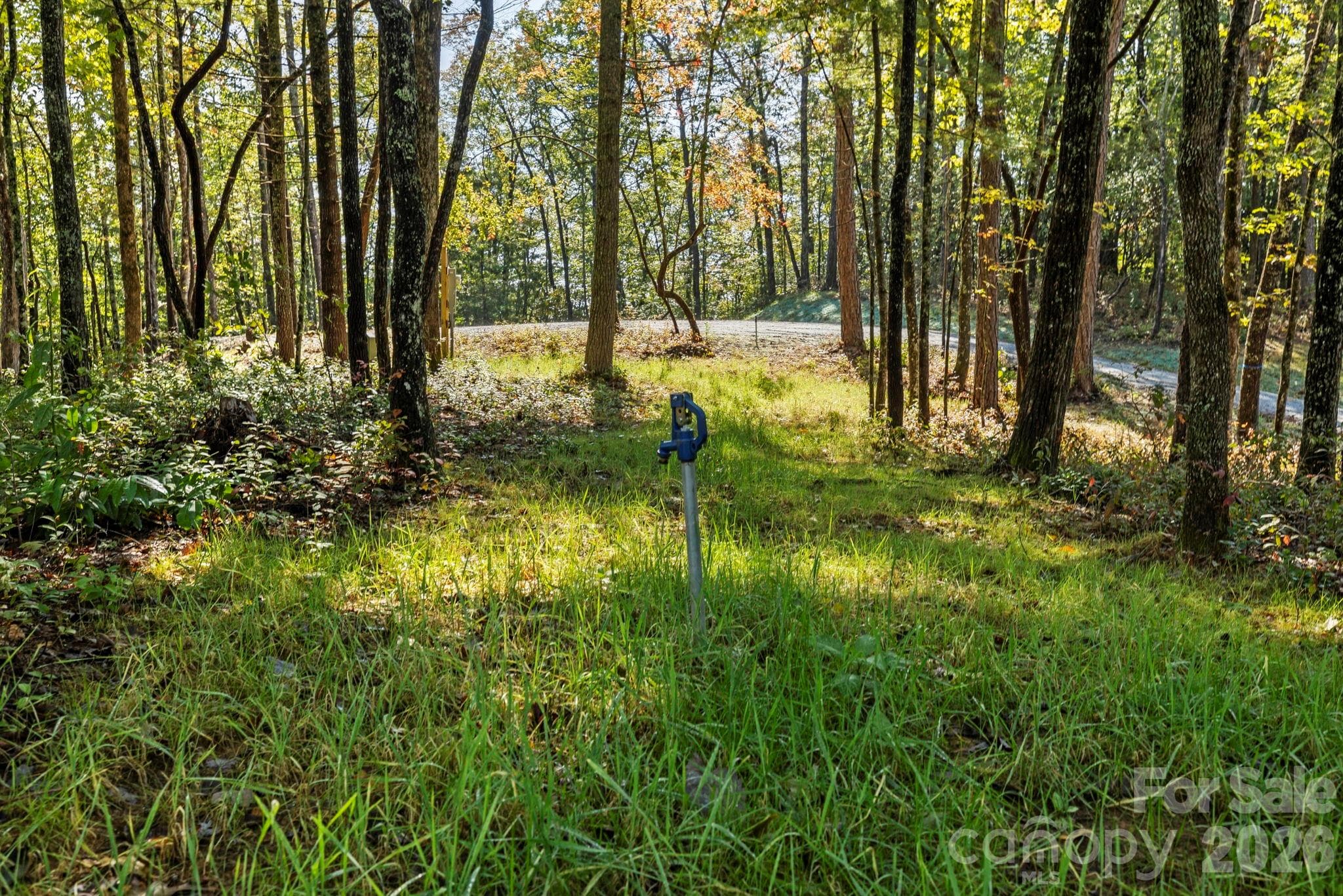 Lot #1 water spigot - 11763 Rosman Highway, Lake Toxaway
