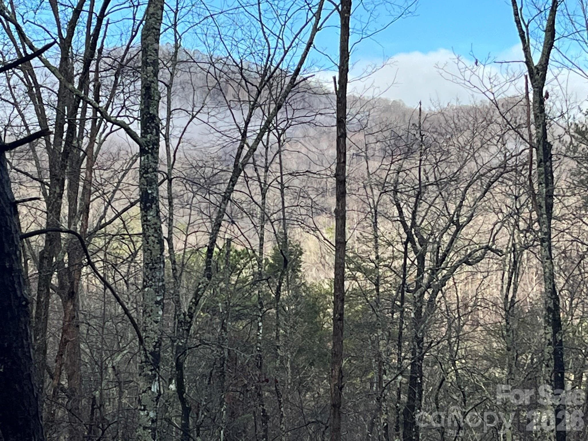 Lot at Lake Lure, photo 6 of 32