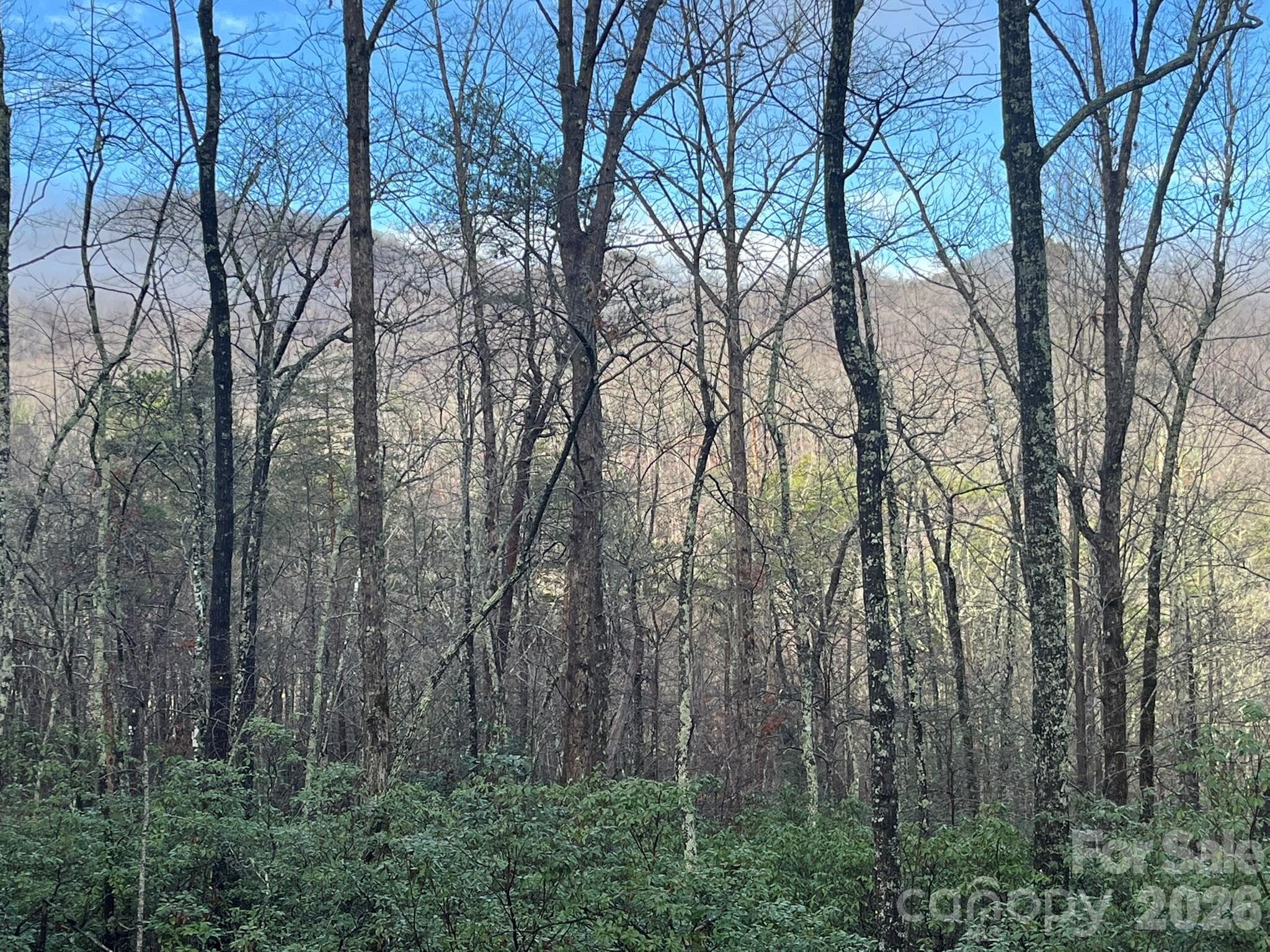 Lot at Lake Lure, photo 8 of 32