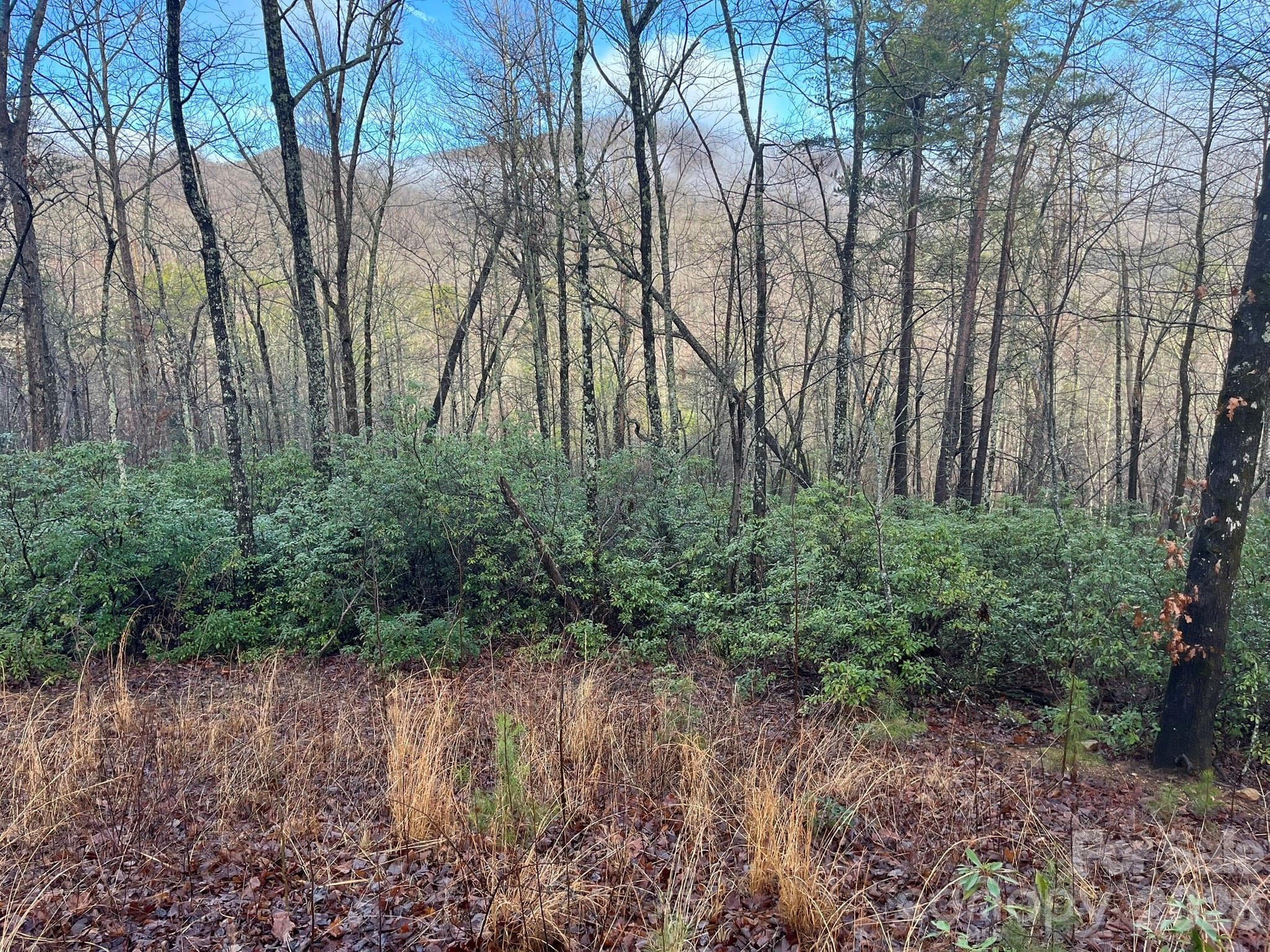 Lot at Lake Lure, photo 12 of 32