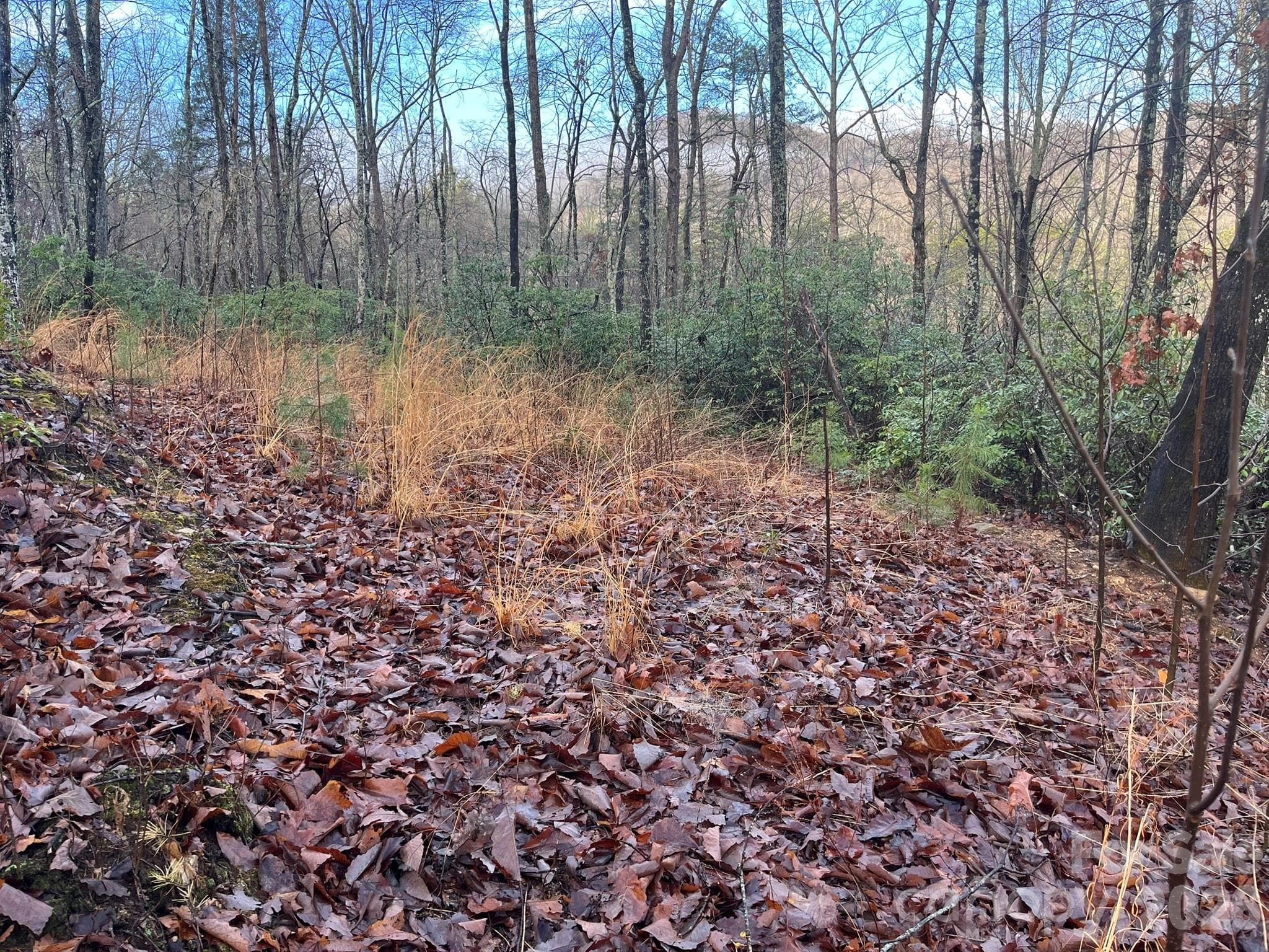 Lot at Lake Lure, photo 14 of 32