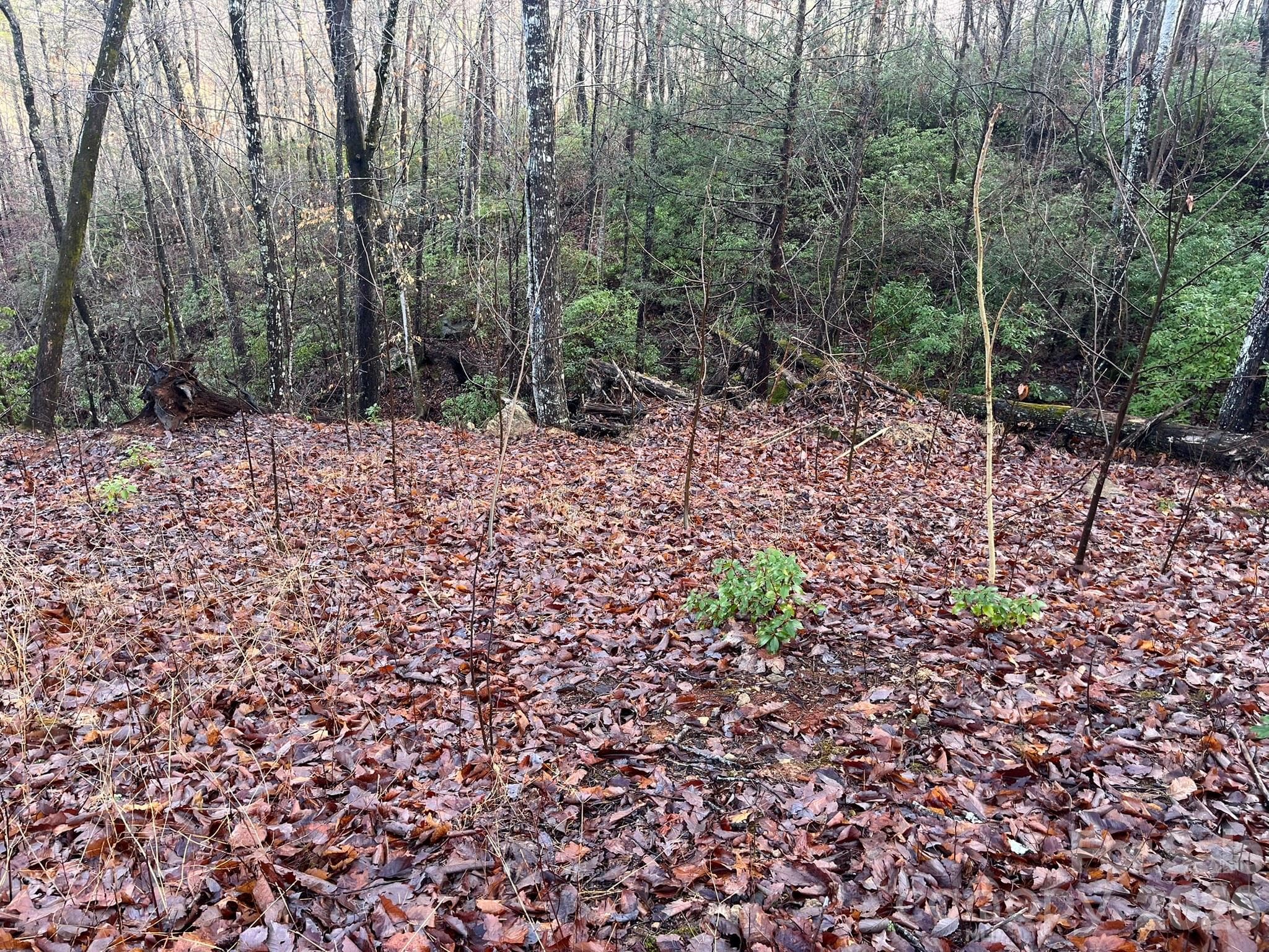 Lot at Lake Lure, photo 16 of 32
