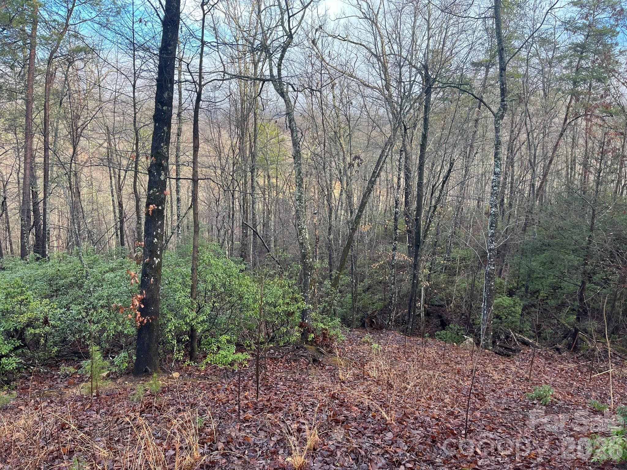 Lot at Lake Lure, photo 18 of 32