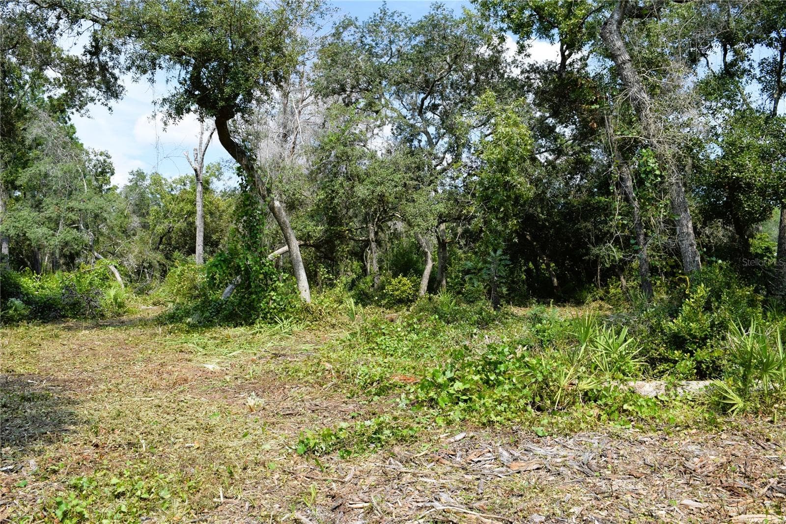 Land at 625 LAKE BUTLER AVE, OSTEEN, photo 11 of 18