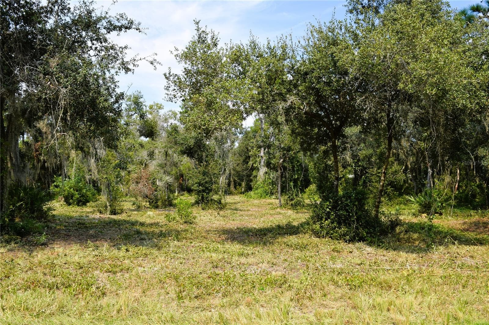 Land at 625 LAKE BUTLER AVE, OSTEEN, photo 14 of 18