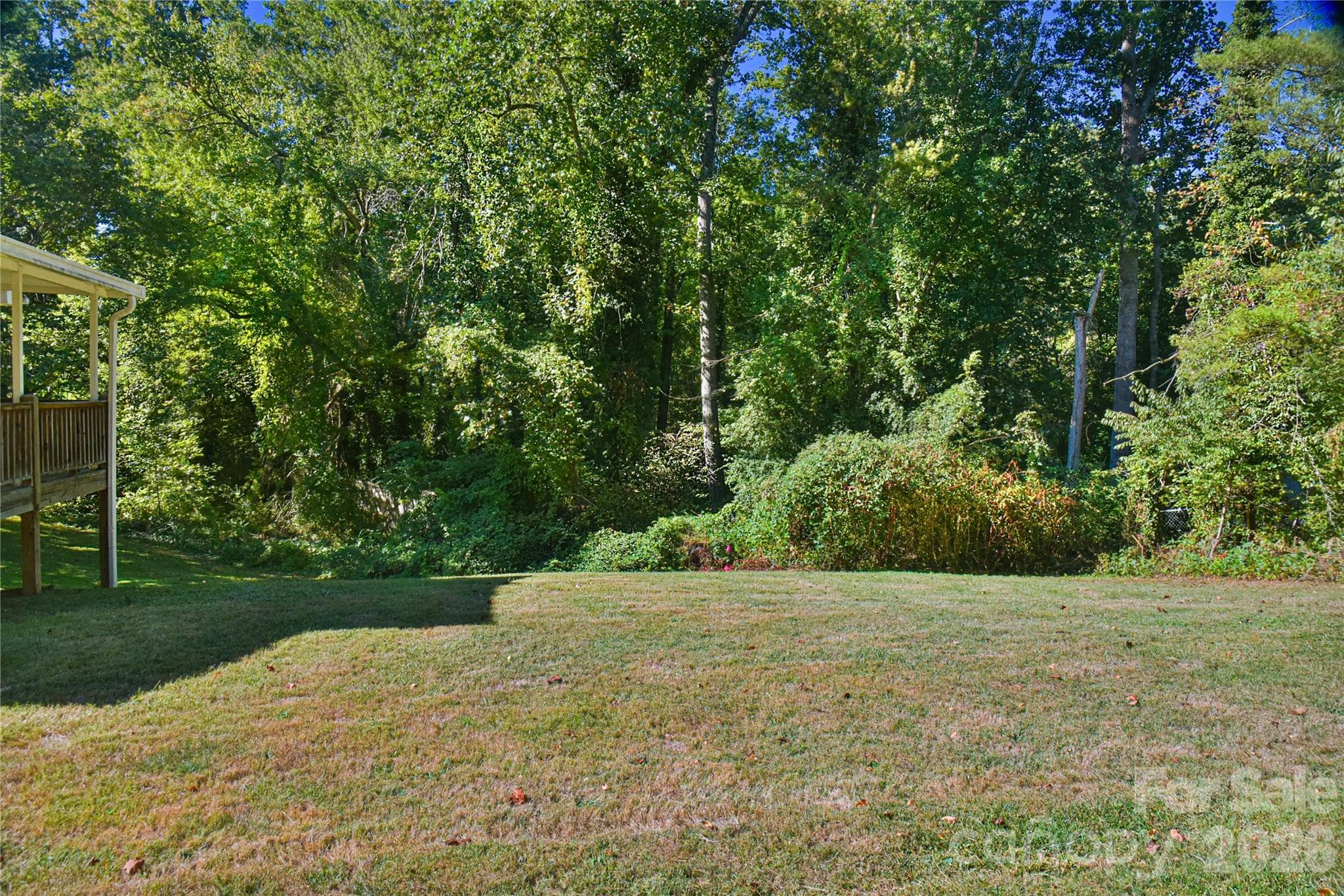 Great Backyard for Play, Pets, Gardens, etc. - 505 Monte Vista Road, Candler