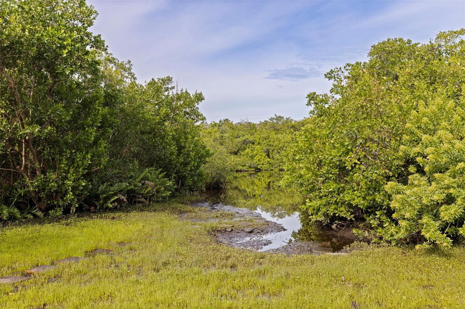 Access to Long Bayou - 7380 PEBBLE BEACH LN, SEMINOLE
