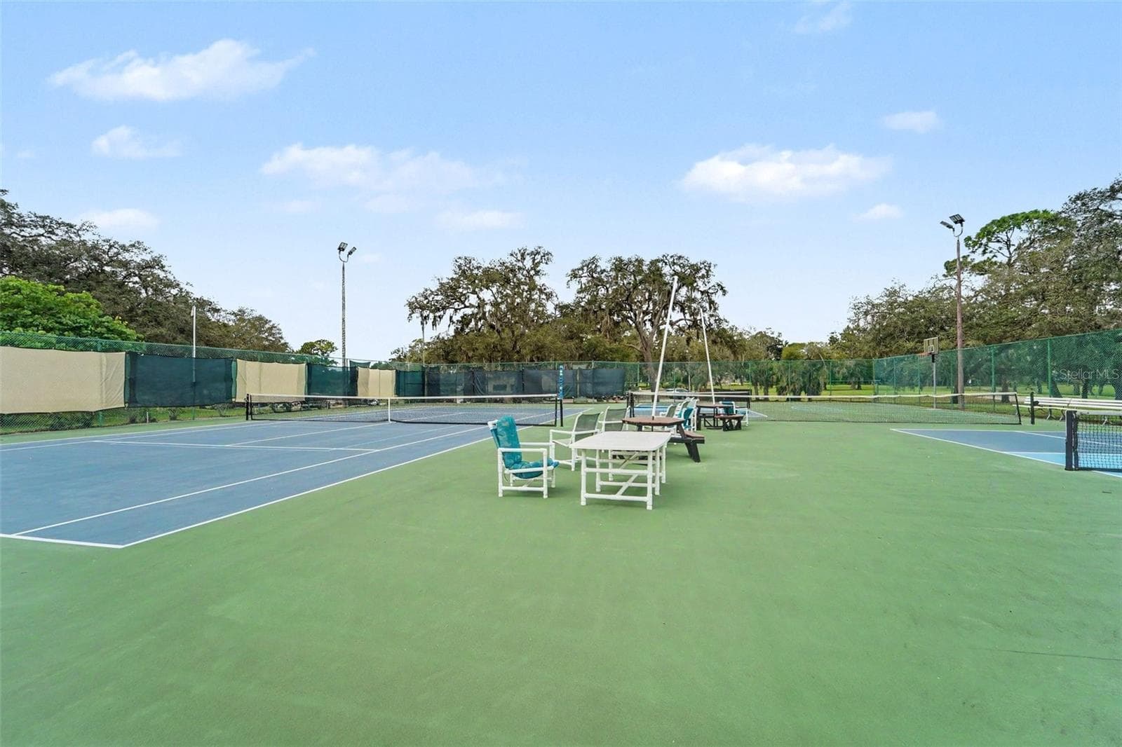Tennis Courts - 13207 PRECEPT WAY, HUDSON