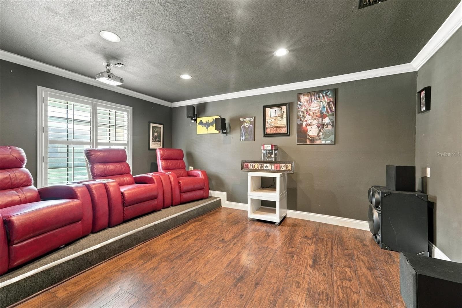 Media Room - 2549 FOX SQUIRREL CT, APOPKA