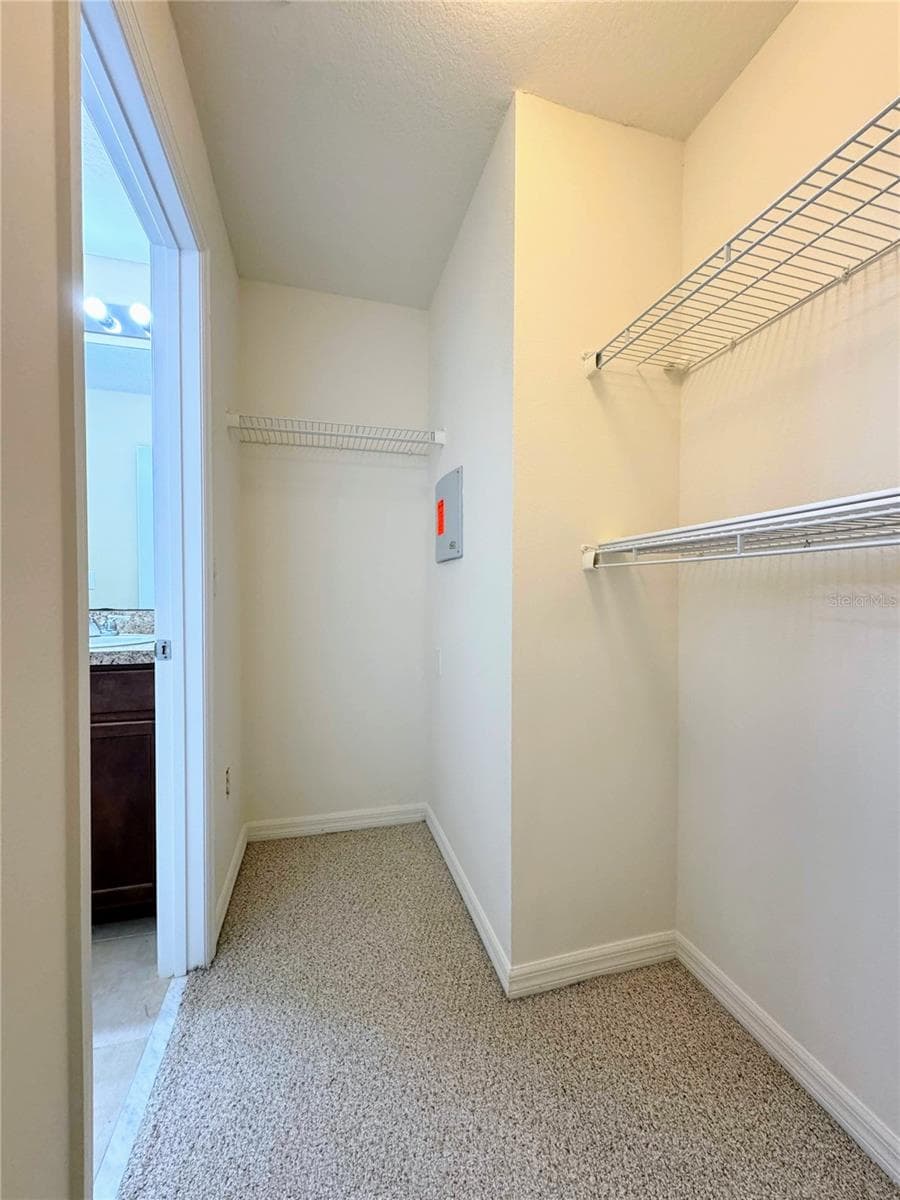 Master Closet - 6703 46TH LN N, PINELLAS PARK