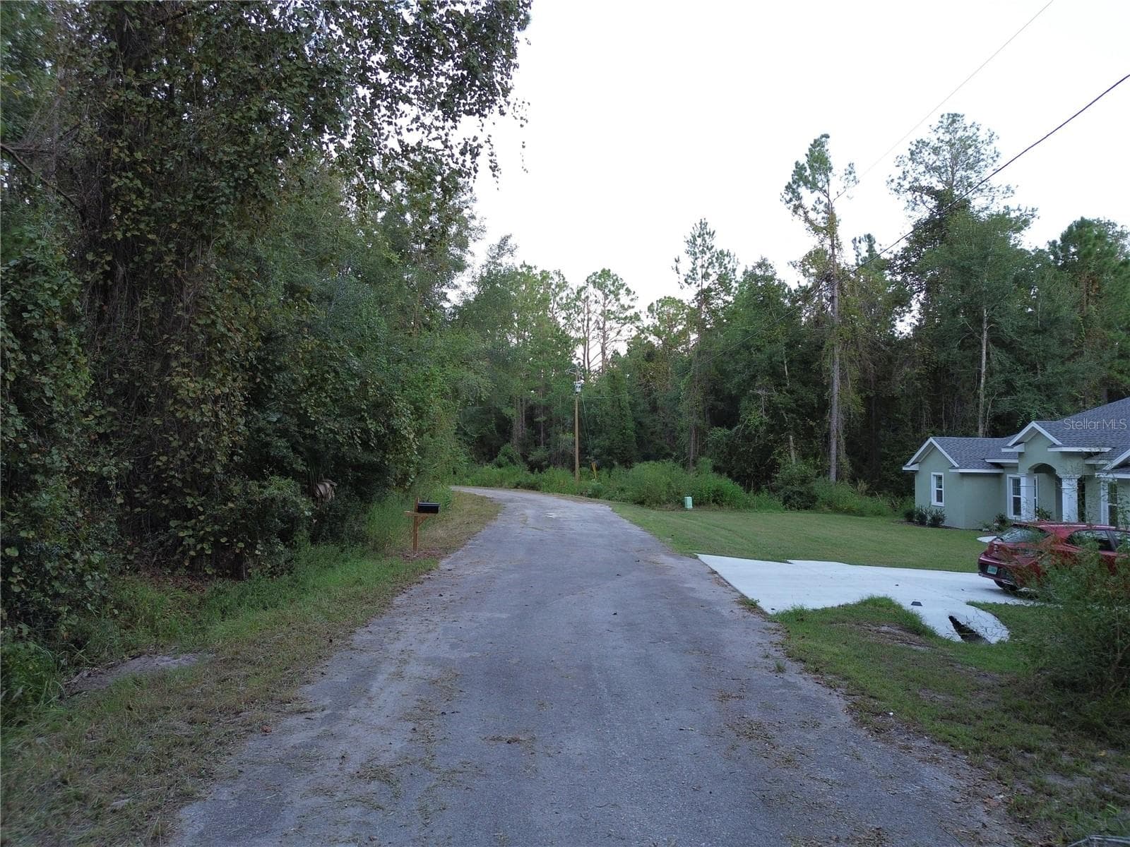 Land at TBD SEQUOIA LOOP LANE, OCKLAWAHA, photo 3 of 3