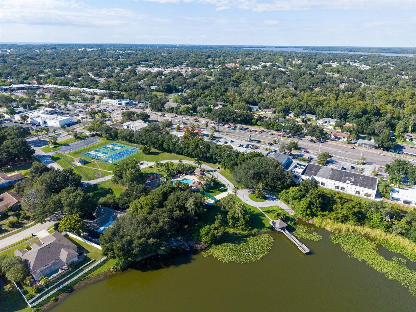 Single Family Residence at 3992 ORCHARD HILL CIR, PALM HARBOR, photo 85 of 87