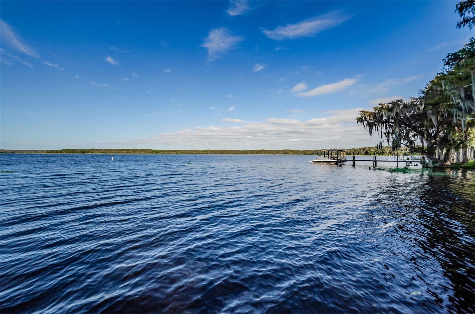 Villa at 1619 WHITHORN PL #B, PALM HARBOR, photo 58 of 60
