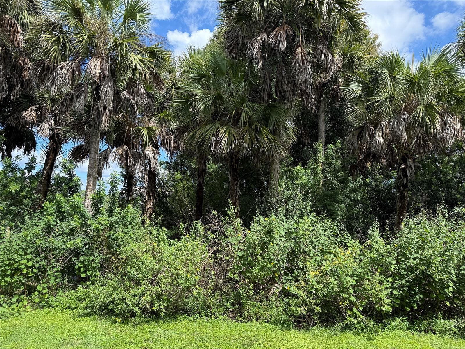 Condominium at 175 KINGS HWY #A6 (aka #416), PUNTA GORDA, photo 25 of 25
