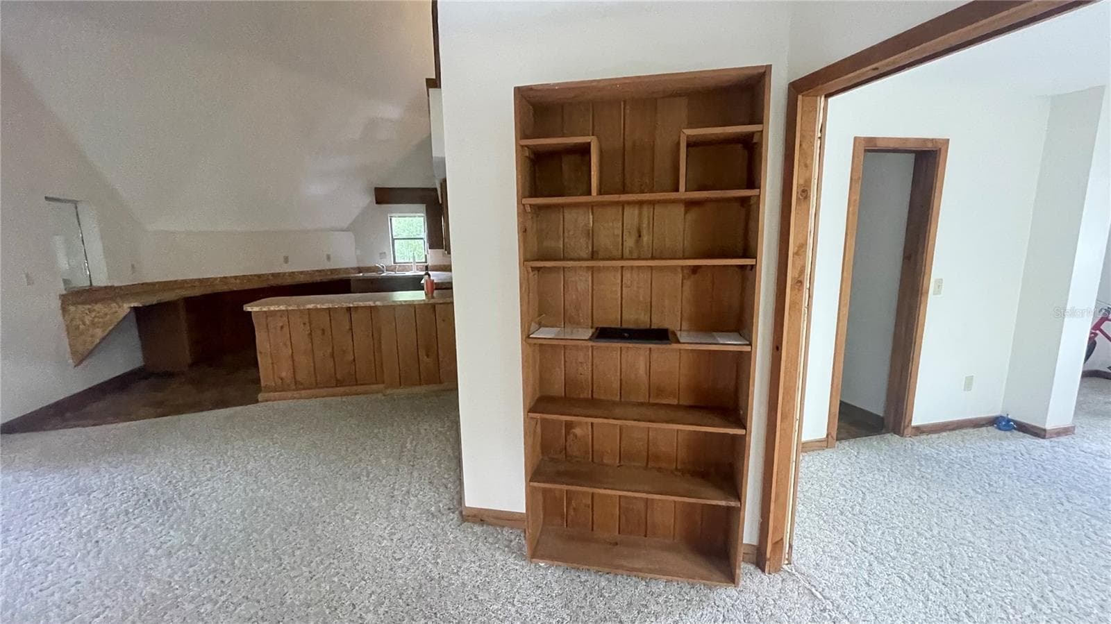 Book Case closed to Air handler closet - 21004 NEGRIL CT, LUTZ