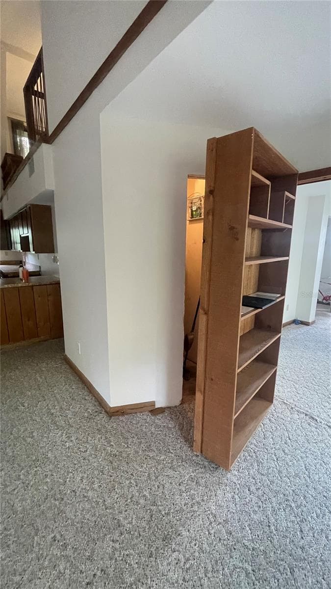 Book Case open to Air handler closet - 21004 NEGRIL CT, LUTZ
