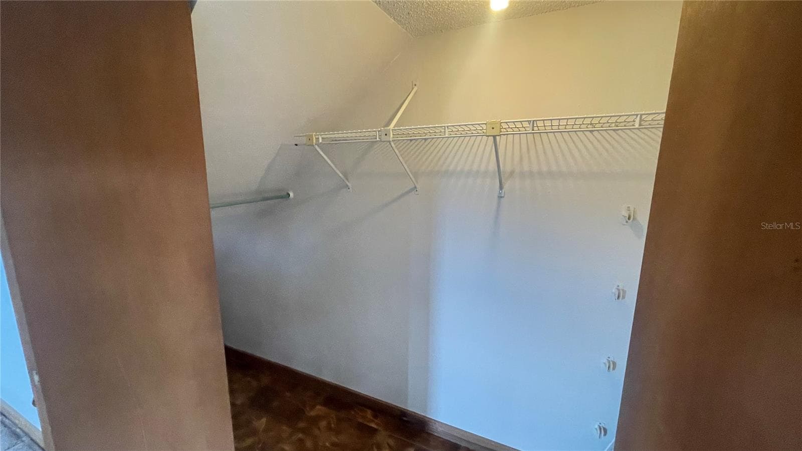 2nd Master bedroom closet under stairs - 21004 NEGRIL CT, LUTZ