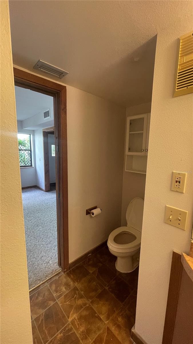 Primary Bathroom - 21004 NEGRIL CT, LUTZ