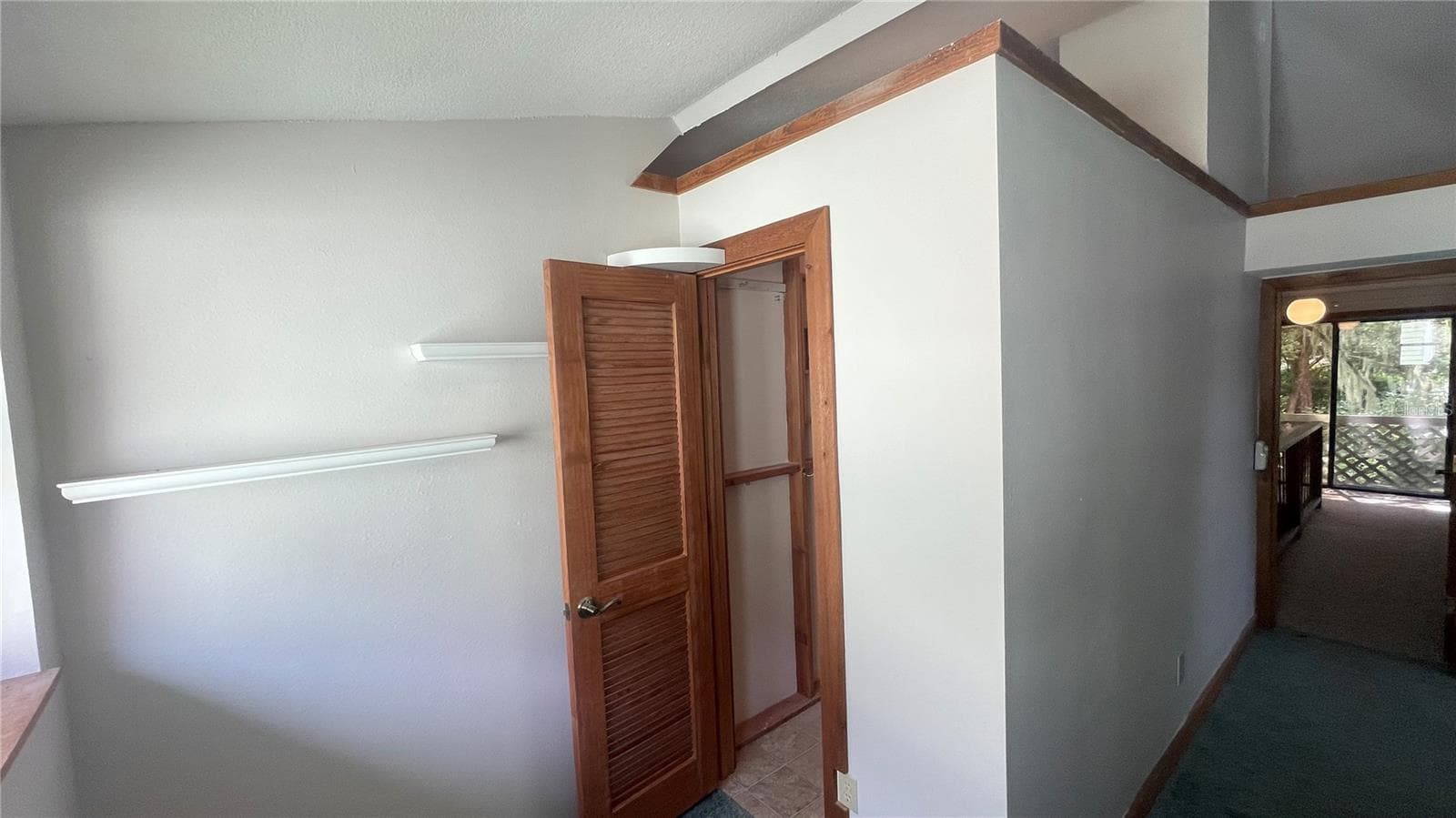 3rd Bedroom - 21004 NEGRIL CT, LUTZ