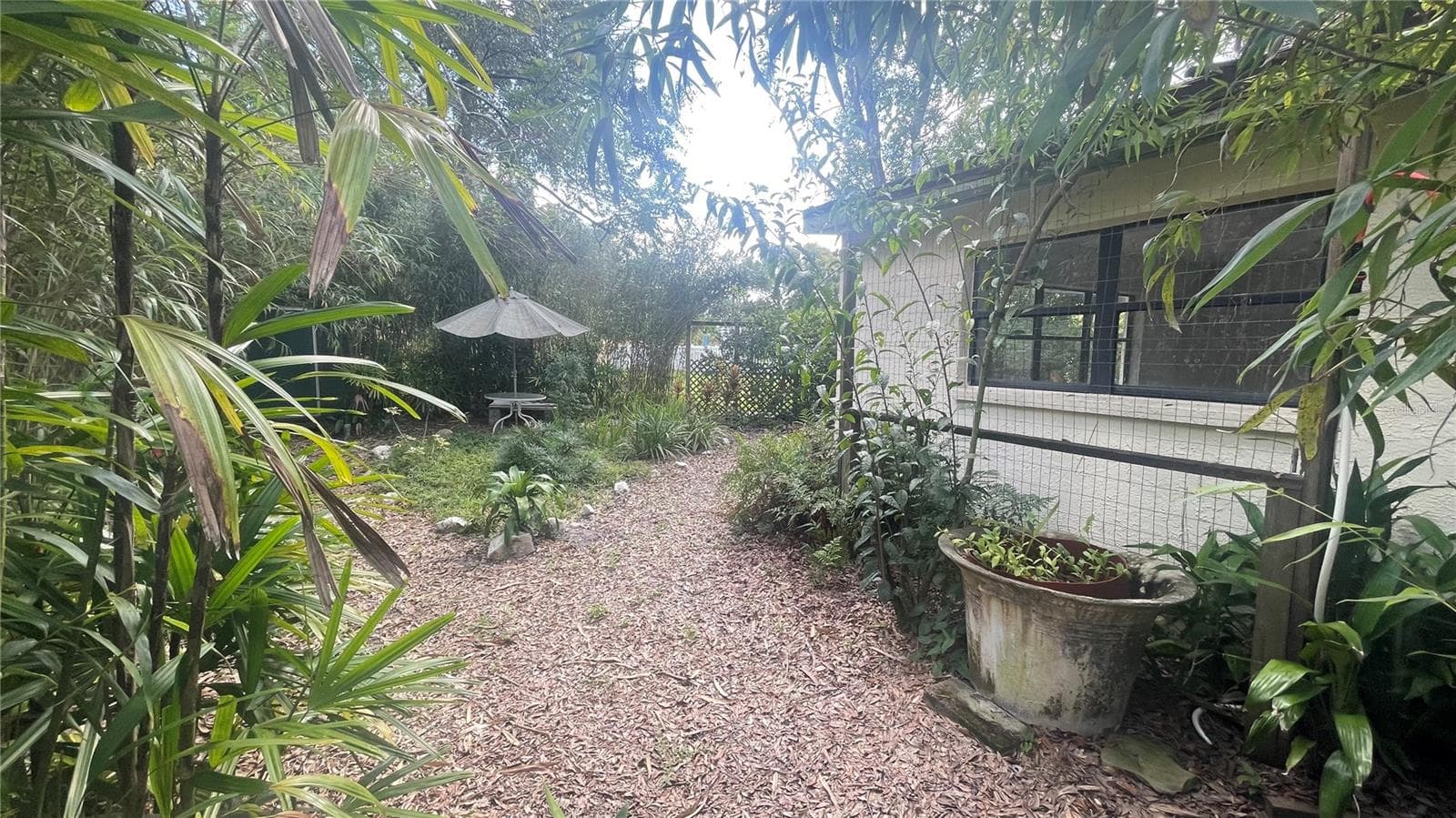 backyard path - 21004 NEGRIL CT, LUTZ