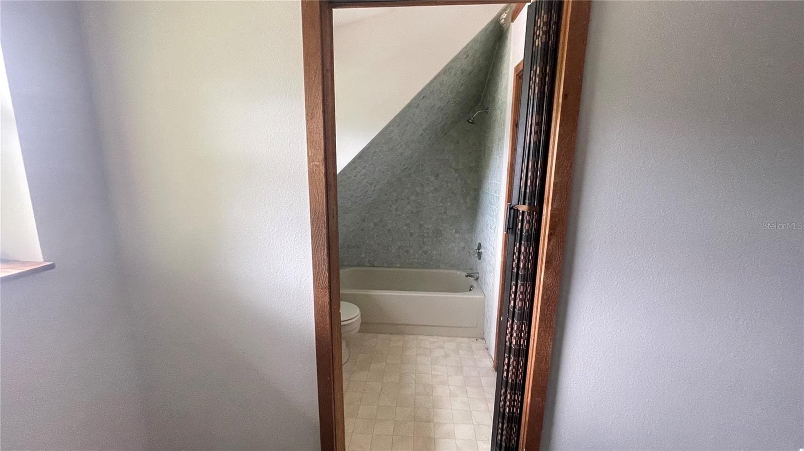 Bathtub from bonus room upstairs - 21004 NEGRIL CT, LUTZ