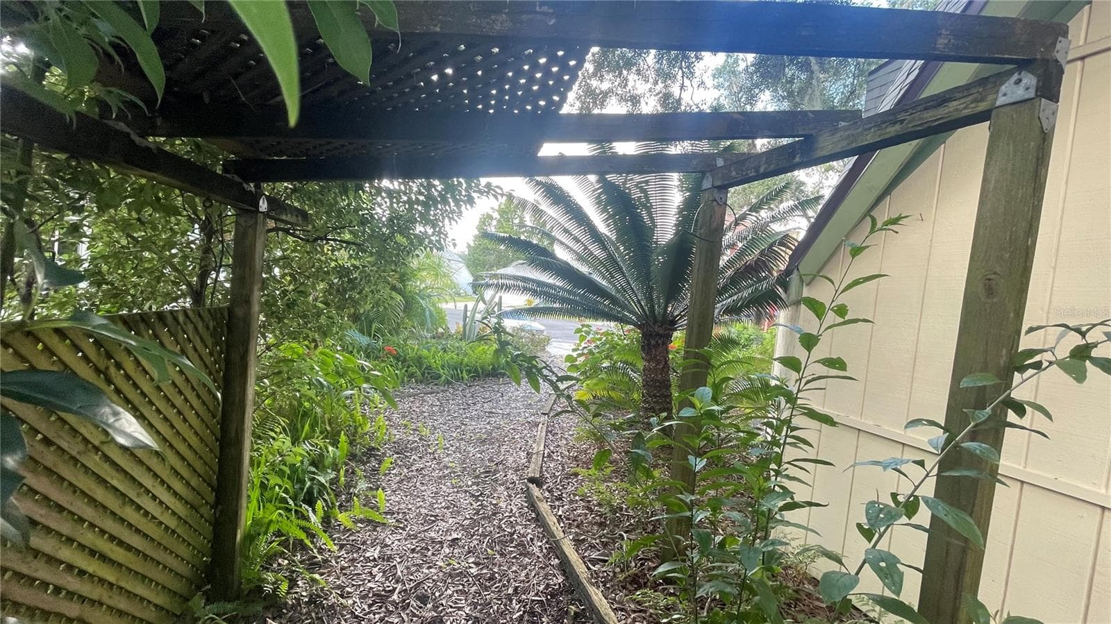 back to front side path - 21004 NEGRIL CT, LUTZ
