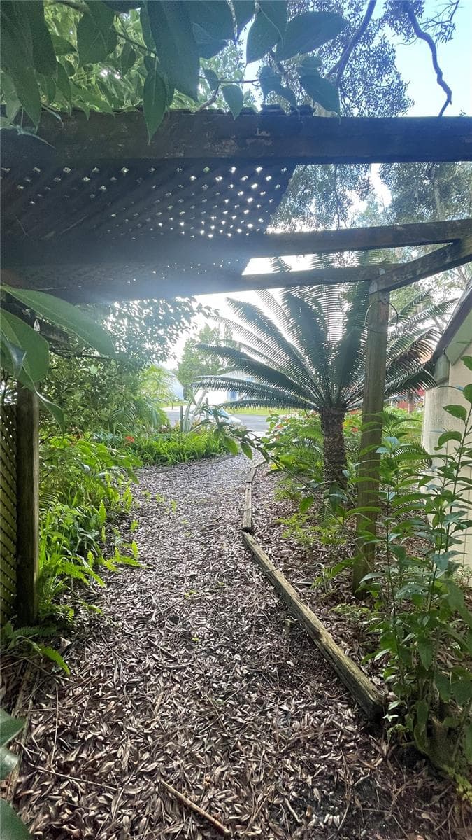 Front side path - 21004 NEGRIL CT, LUTZ