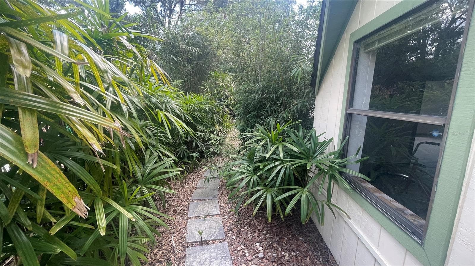 Right side of house walkway - 21004 NEGRIL CT, LUTZ