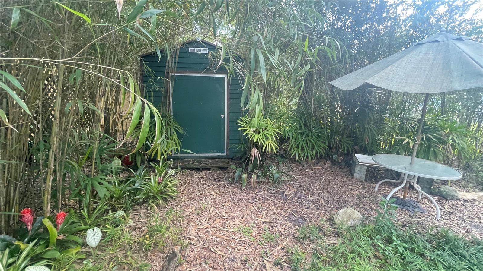 Back yard shed - 21004 NEGRIL CT, LUTZ