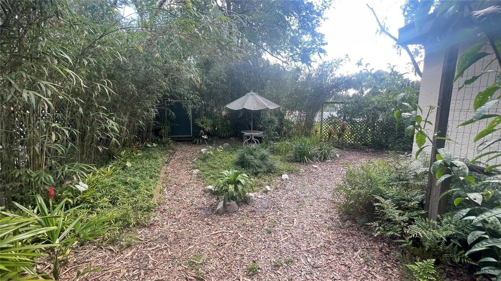 backyard fork in path - 21004 NEGRIL CT, LUTZ