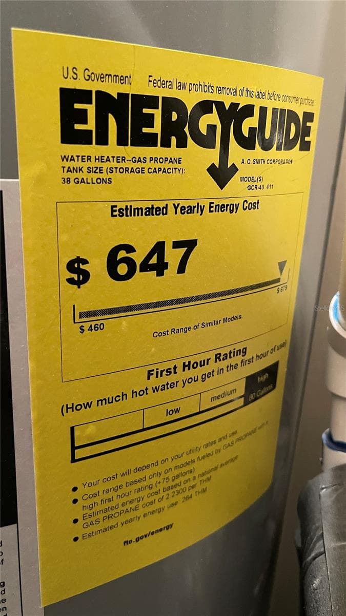 Gas Hot Water Energy Lable - 21004 NEGRIL CT, LUTZ