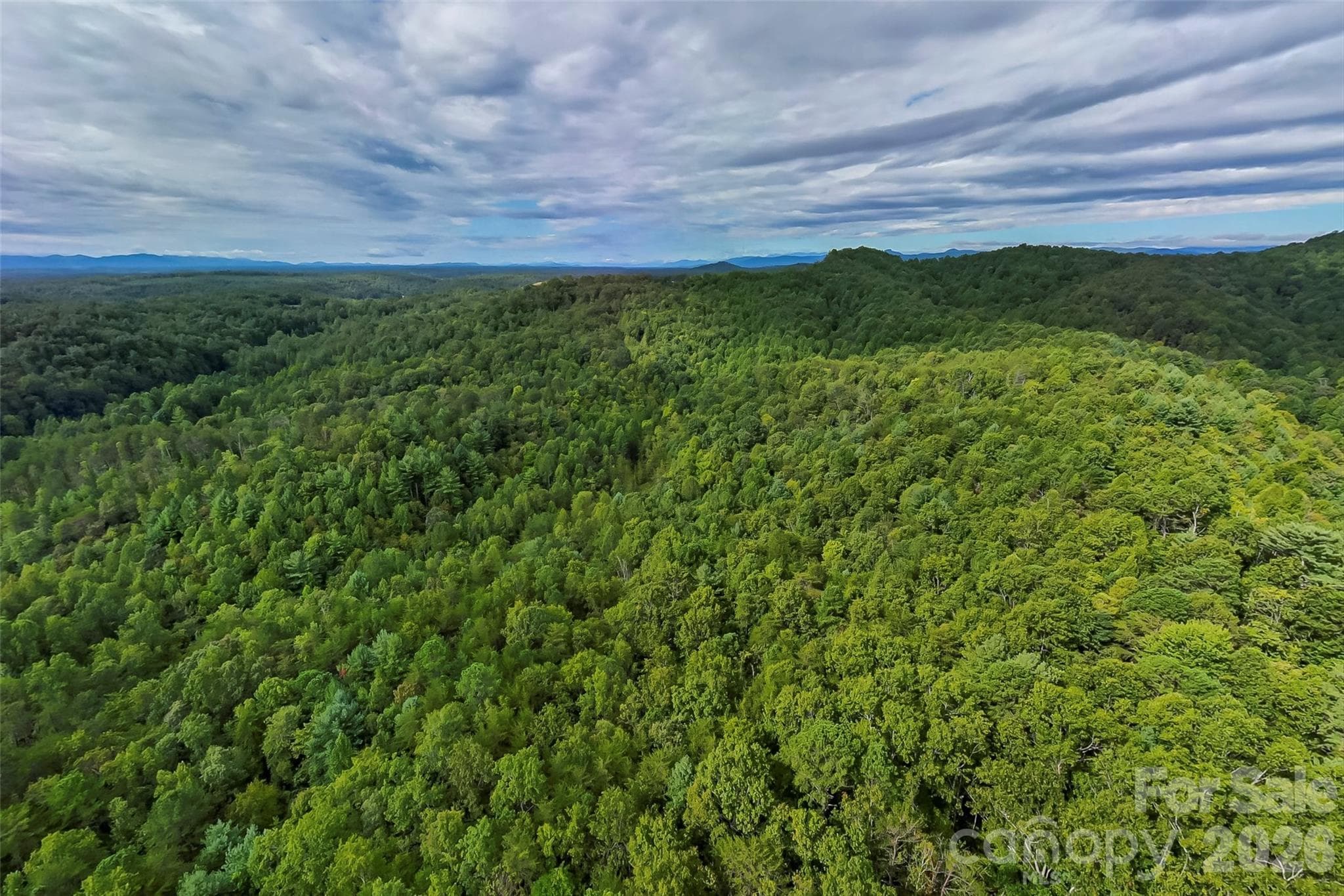 Lot at Lenoir, photo 12 of 14