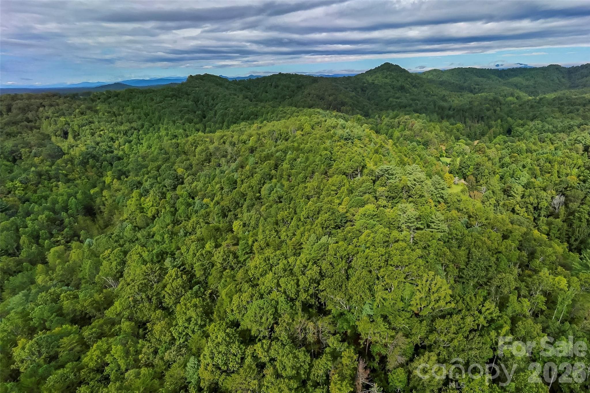Lot at Lenoir, photo 14 of 14