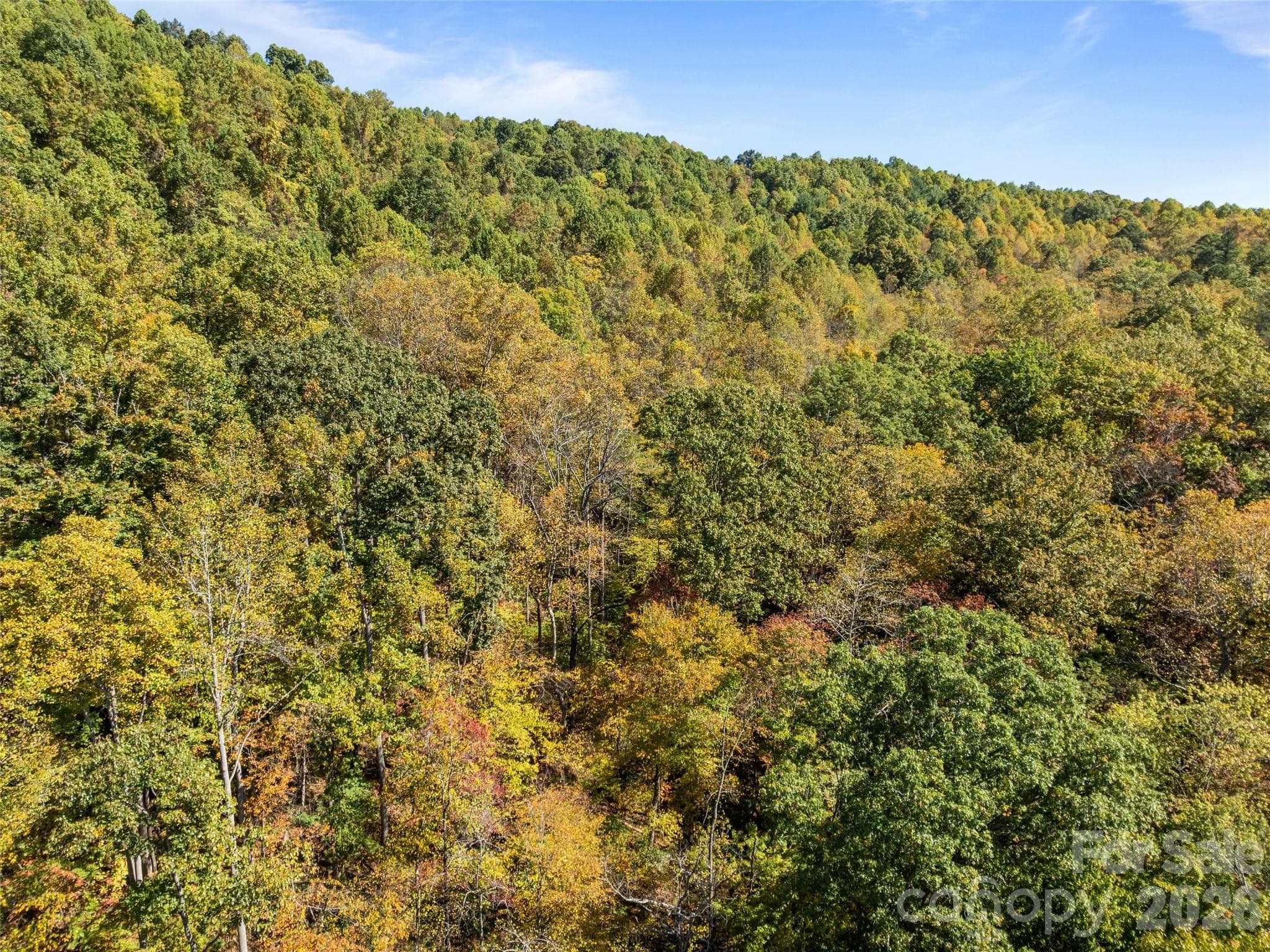 Acreage at 0000 Old Post Office Road, North Cove, photo 13 of 21