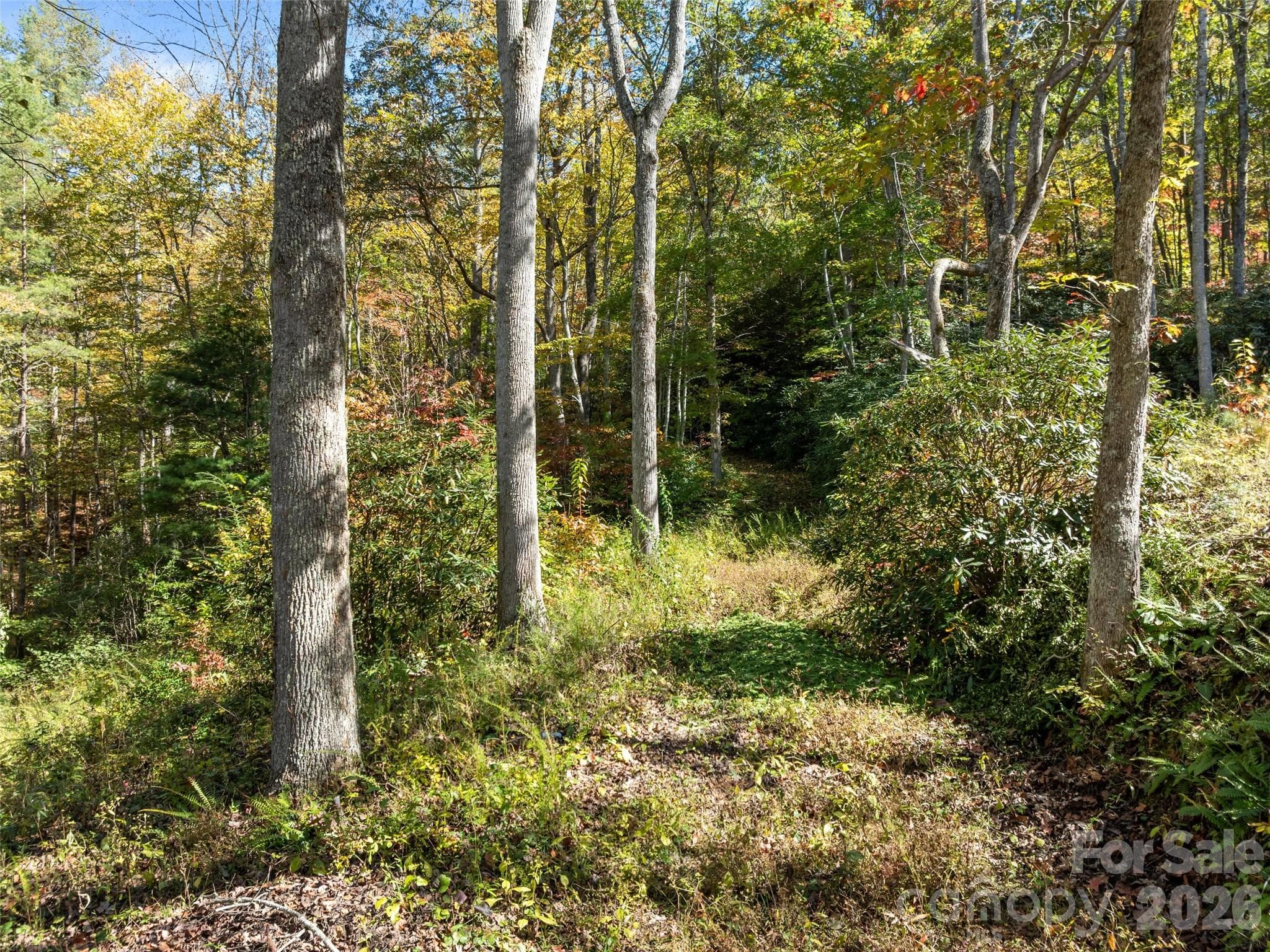 Acreage at 0000 Old Post Office Road, North Cove, photo 15 of 21