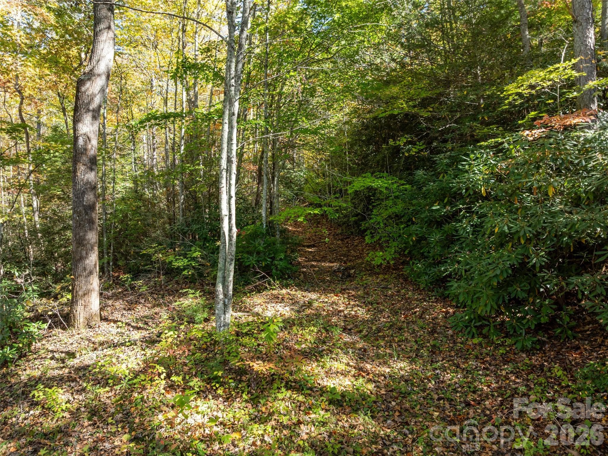 Acreage at 0000 Old Post Office Road, North Cove, photo 16 of 21