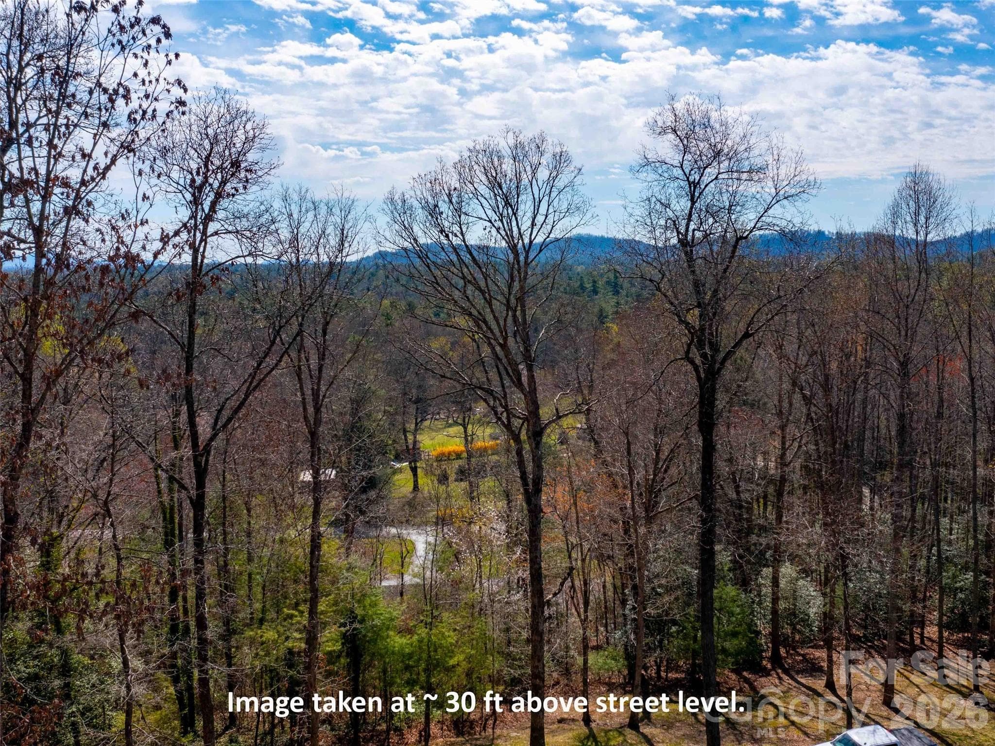 Lot at Lot 29 Connemara Overlook Drive, Hendersonville, photo 9 of 16