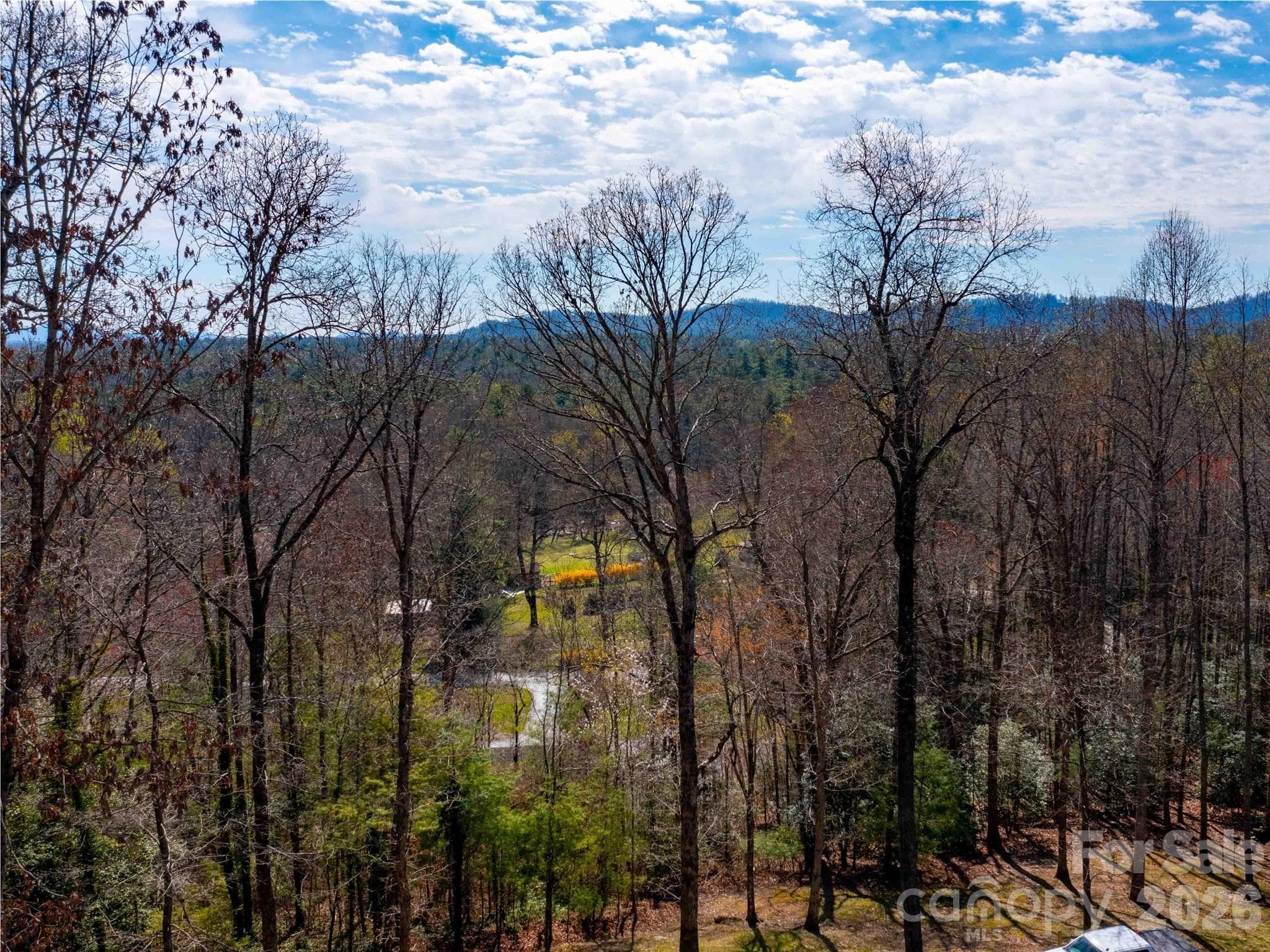 Lot at Lot 29 Connemara Overlook Drive, Hendersonville, photo 10 of 16