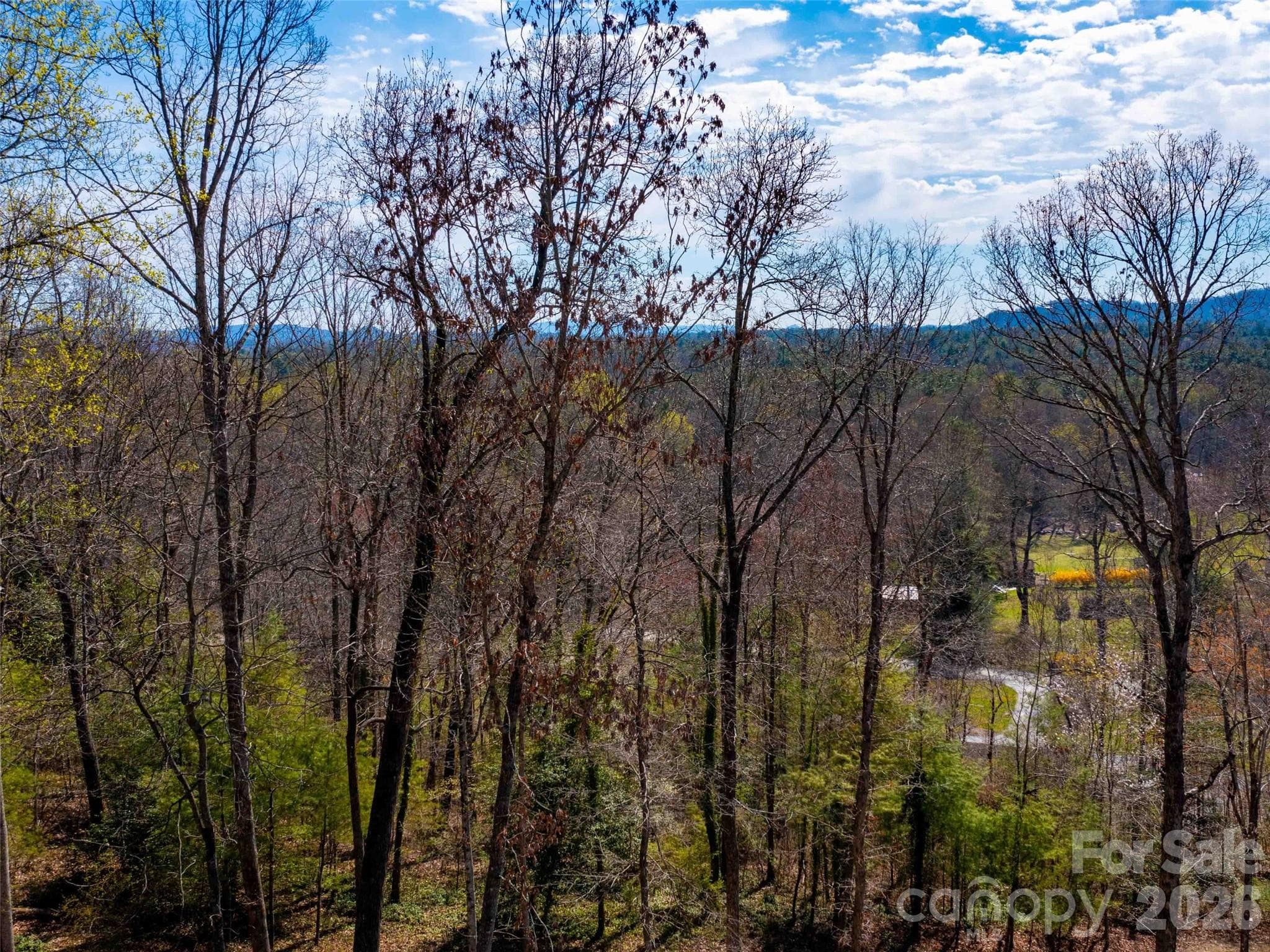 Lot at Lot 29 Connemara Overlook Drive, Hendersonville, photo 11 of 16