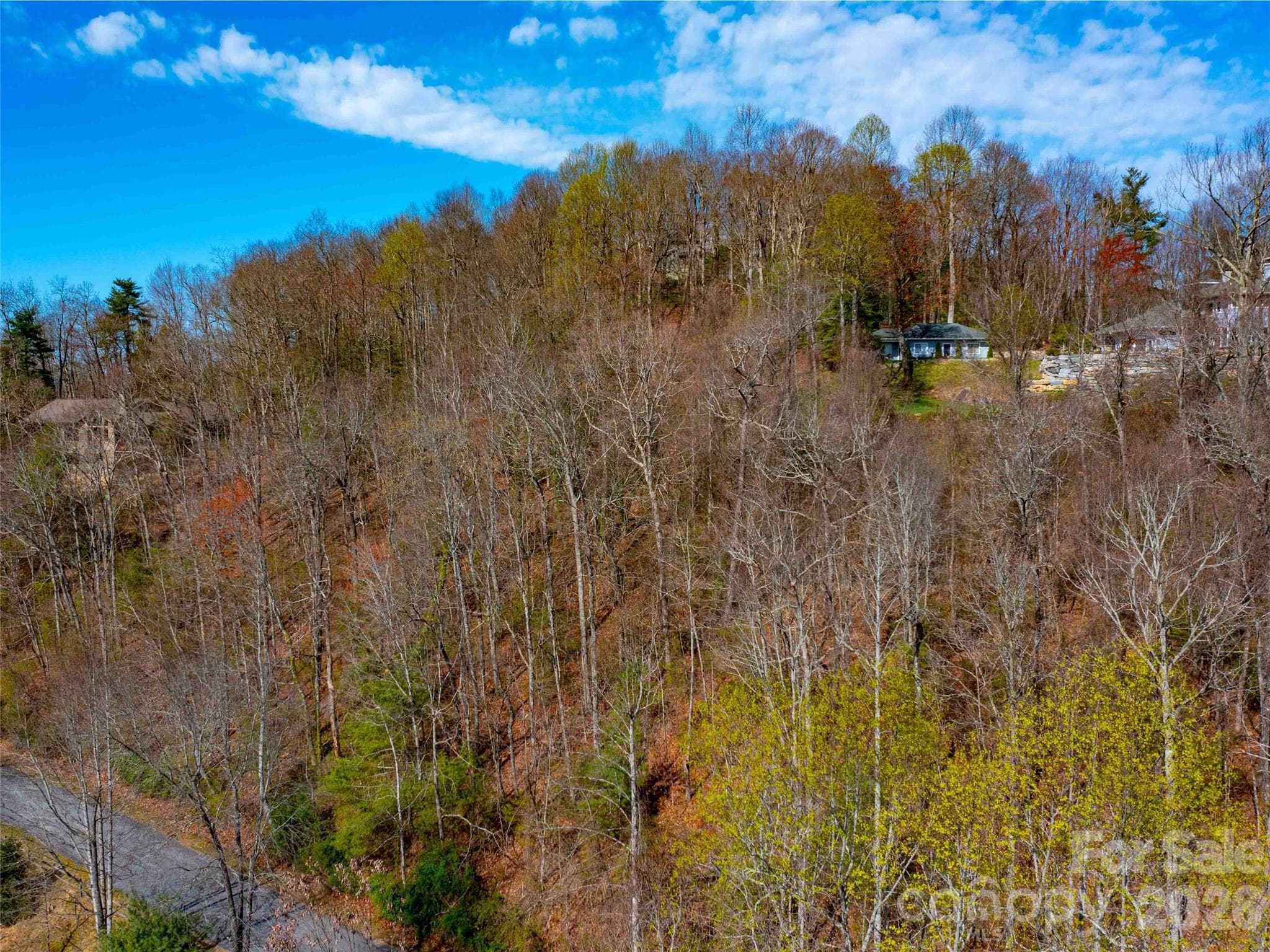Lot at Lot 29 Connemara Overlook Drive, Hendersonville, photo 13 of 16