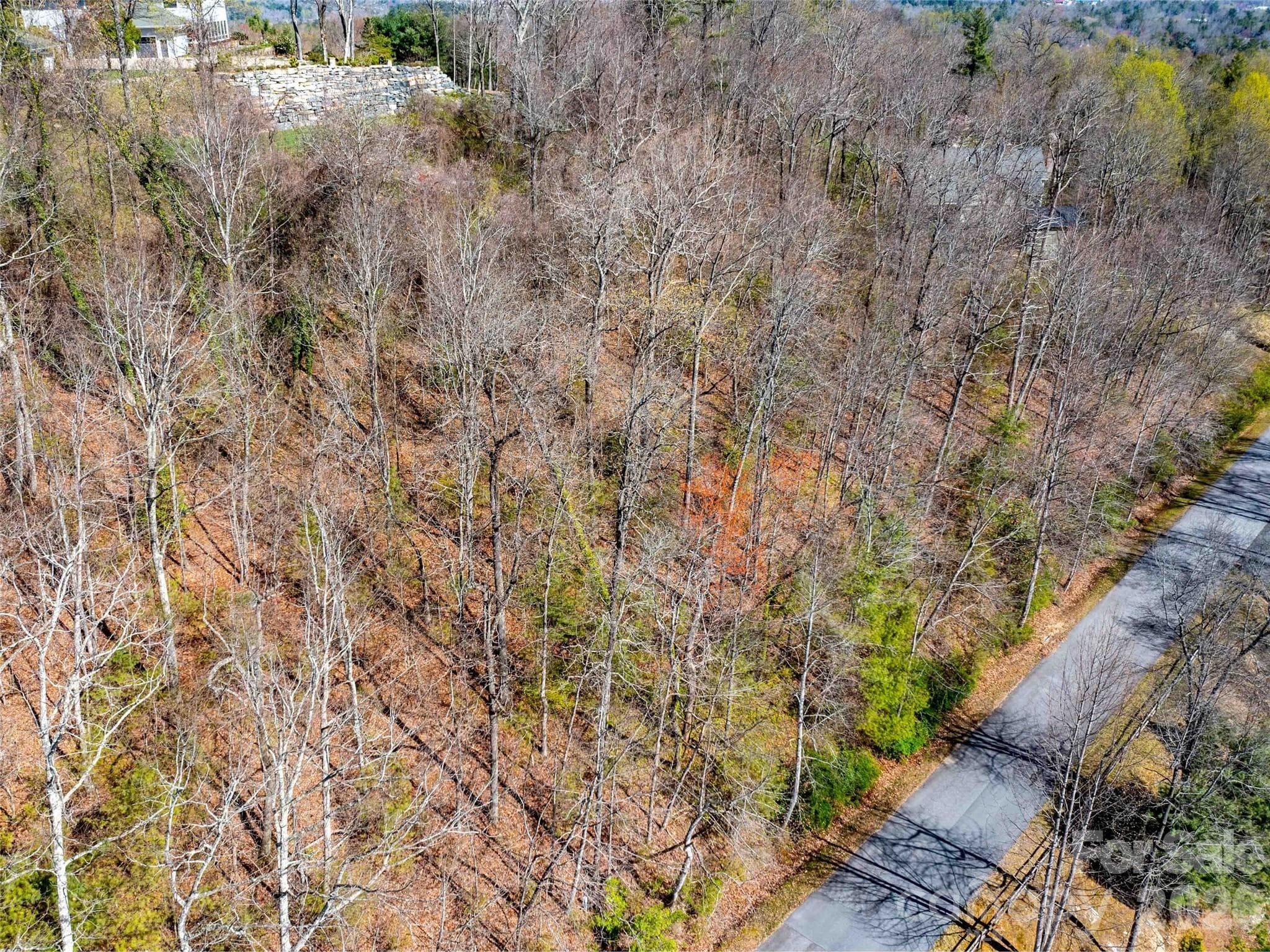 Lot at Lot 29 Connemara Overlook Drive, Hendersonville, photo 14 of 16