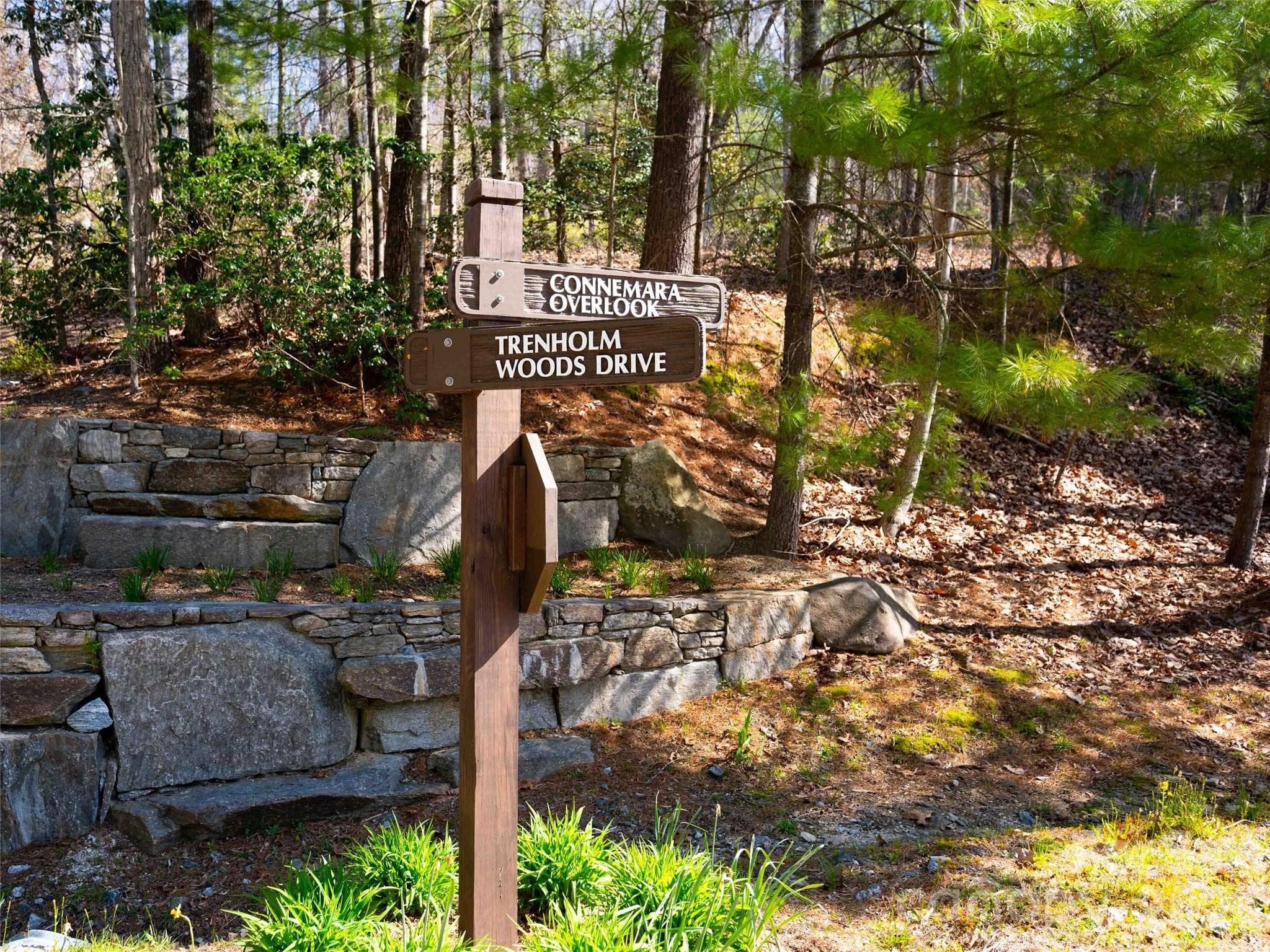 Lot at Lot 29 Connemara Overlook Drive, Hendersonville, photo 15 of 16