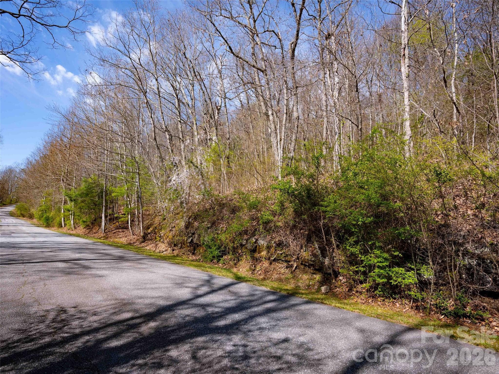Lot at Lot 29 Connemara Overlook Drive, Hendersonville, photo 16 of 16