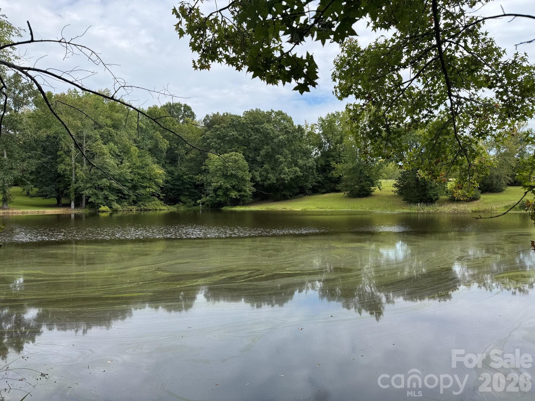 Due east view of pond - 357 Pendergrass Road, York